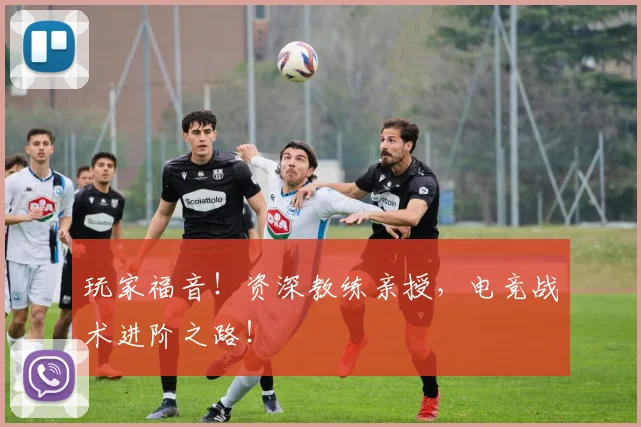 玩家福音！资深教练亲授，电竞战术进阶之路！
