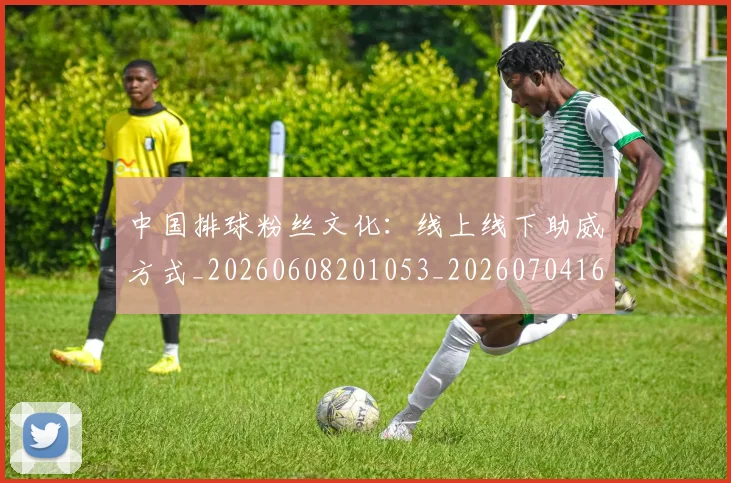 中国排球粉丝文化：线上线下助威方式_20260608201053_20260704163730